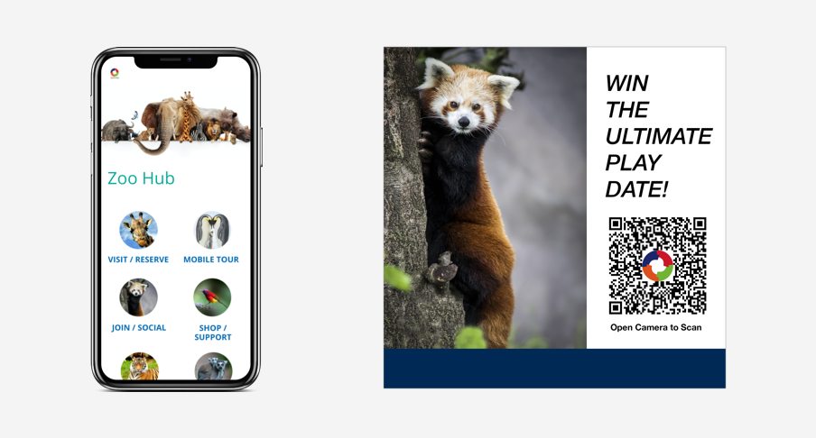 Interactive Zoos - experience animals and exhibits virtually and contactless
